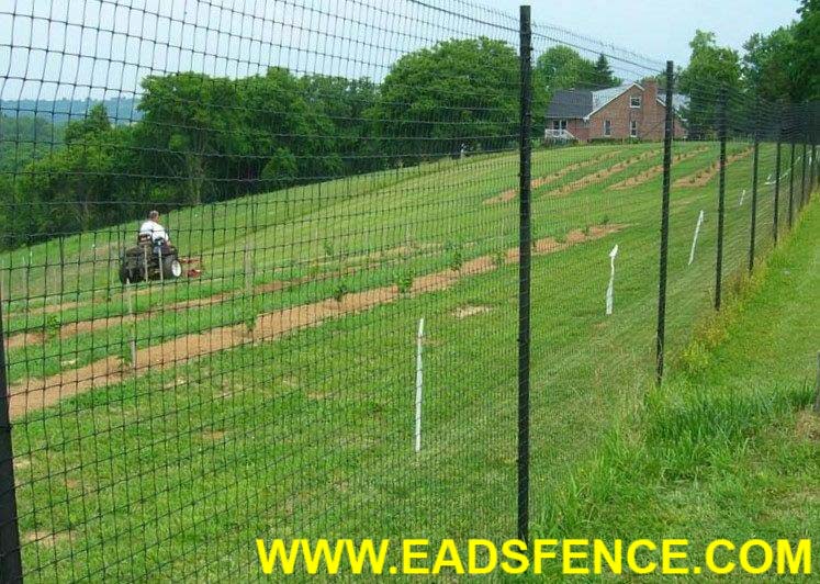 Show products in category Deer Fences