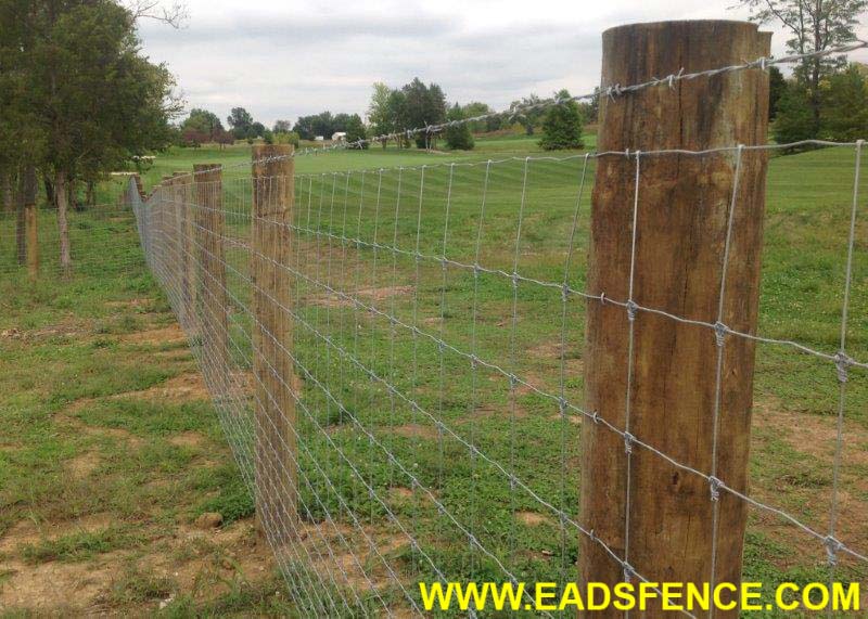 Woven Wire Farm Fence with Barbed Wire and Faced Posts