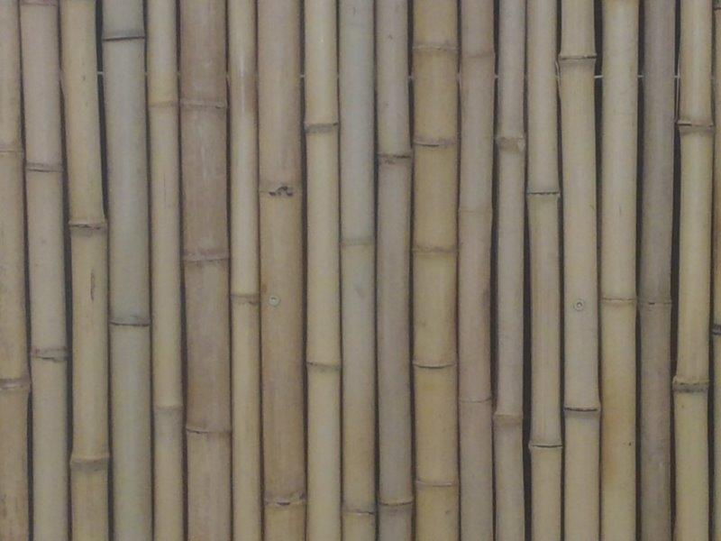 Jati Natural Bamboo Fence Closeup
