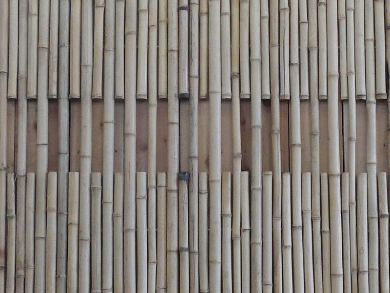 San Diego Natural Bamboo Fence Closeup
