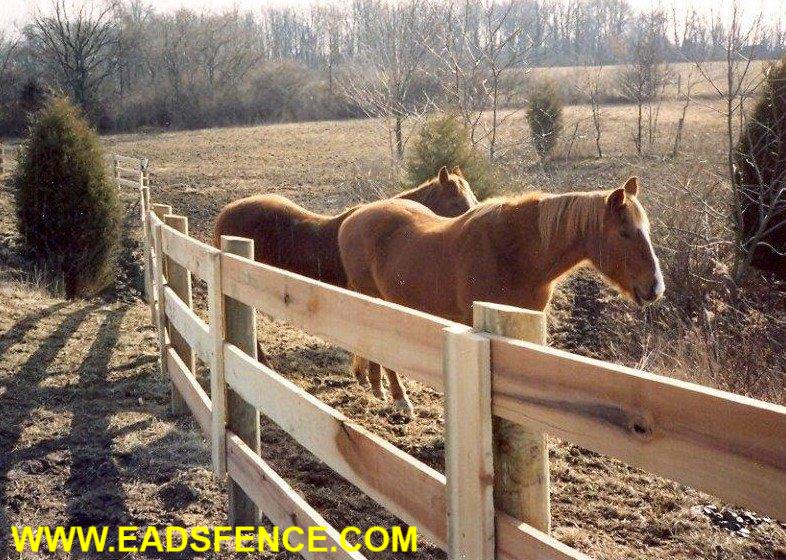 3 Rail Kentucky Board Horse Fence with Faced Posts