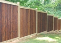 Picture for category Bamboo Fences