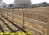 Picture of 3 Rail  Board Fence Photo Gallery