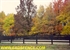 Picture of 4 Rail Board Fence Photo Gallery