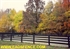 Picture of 4 Rail Board Fence Photo Gallery