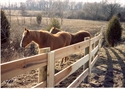 Picture for category Horse & Equestrian Fences
