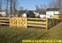 Picture of Untreated Split Rail Photo Gallery