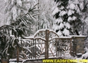 Picture of Rustic Log Gates