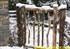 Picture of Rustic Log Gates