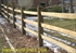 Picture of Treated Split Rail Photo Gallery