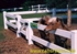 Picture of Vinyl Ranch Rail Photo Gallery