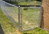 Picture of Residential Chain Link Photo Gallery