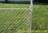 Picture of Residential Chain Link Photo Gallery