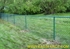 Picture of Residential Chain Link Photo Gallery