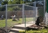 Picture of Chain Link Gates Photo Gallery