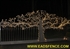 Picture of Nature Inspired Gates