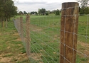 Picture of Wire Fence Photo Gallery