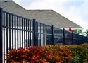 Picture for category Aluminum Fences