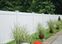 Picture of Dogwood  ActiveYards Materials