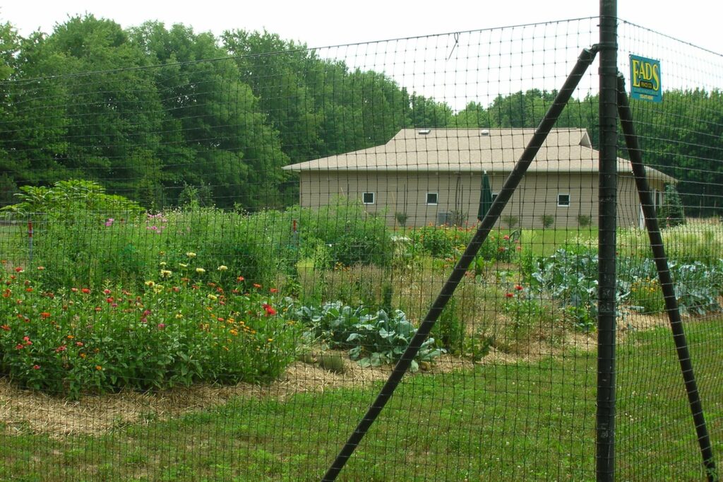 A garden been protected by a deer prevention fence