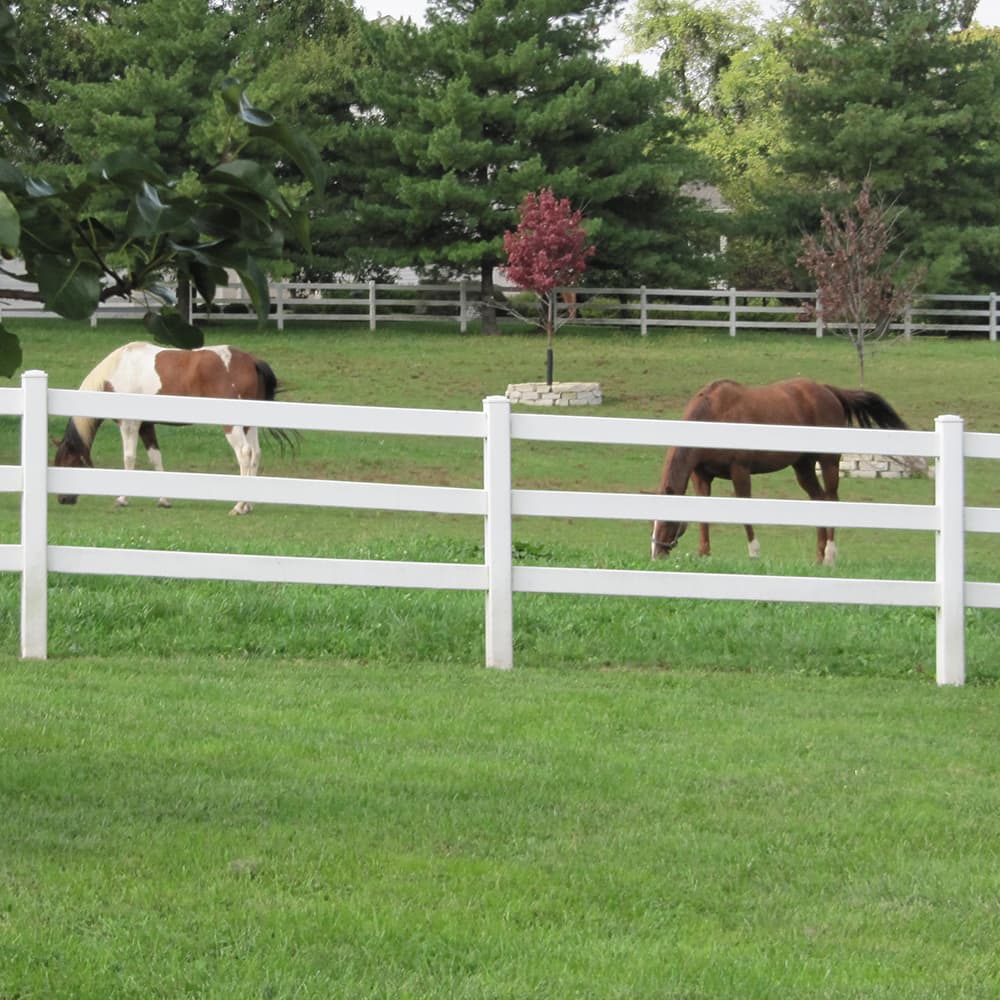 Horses being fenced in by a white wood fence