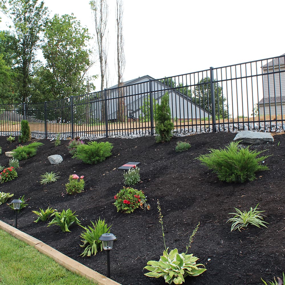 A black aluminum in the backyard with a garden