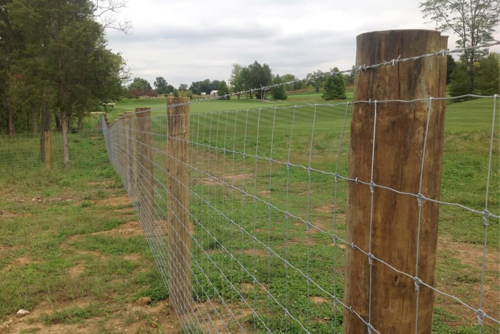 Close-up photo of an Eads Fence Co. farm fence installed in a pasture